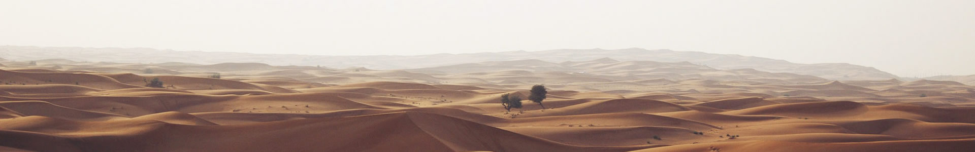 оƼ޹˾